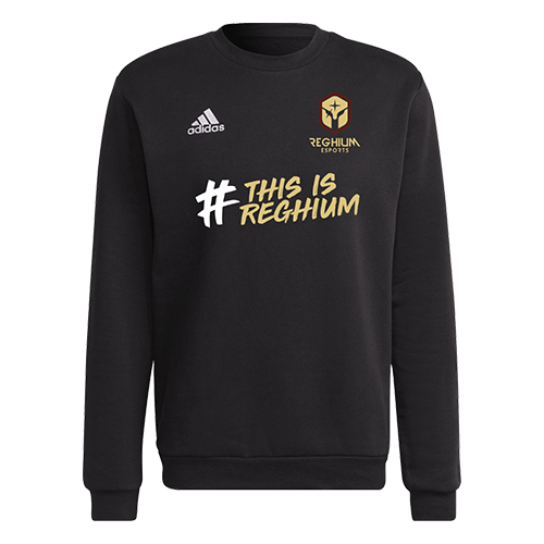 Sweatshirt 22/25